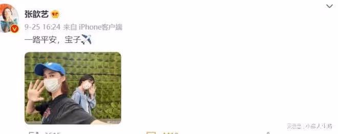 張歆藝人緣絕了!和劉戀、朱潔靜聚餐,兒子直接喊金晨媽媽