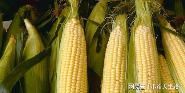 胖東來召回8.5元玉米,東北農嫂項目違規被罰30萬