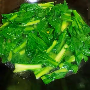 蚝油菜心