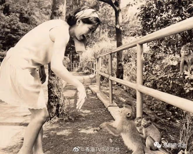 李司棋54年前香港公主奪冠靚相曝光！勁有貴氣身材fit爆激似周慧敏