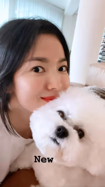 國民女神,曾為愛情放棄了事業,如今41歲狀態超好,氣質很出眾