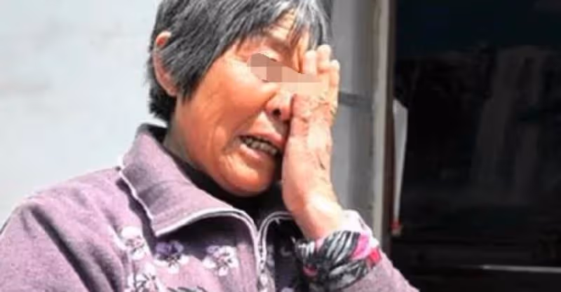 母親進城看女兒，女婿用剩飯招待她，樓梯口聽到對話，母親哭了