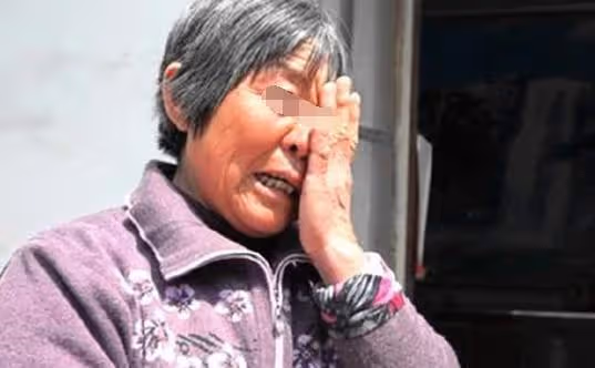 母親進城看女兒，女婿用剩飯招待她，樓梯口聽到對話，母親哭了