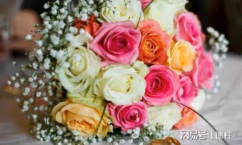 「媽來四個月了，兒媳沒給我做幾次飯」兒子：讓您在這養老不錯了