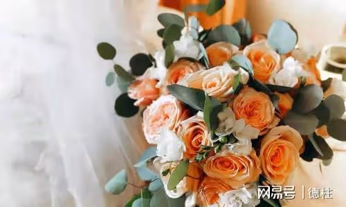 「媽來四個月了，兒媳沒給我做幾次飯」兒子：讓您在這養老不錯了
