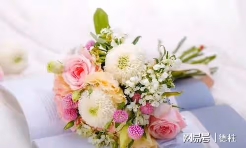 「媽來四個月了，兒媳沒給我做幾次飯」兒子：讓您在這養老不錯了