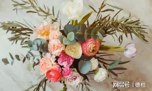 「媽來四個月了，兒媳沒給我做幾次飯」兒子：讓您在這養老不錯了