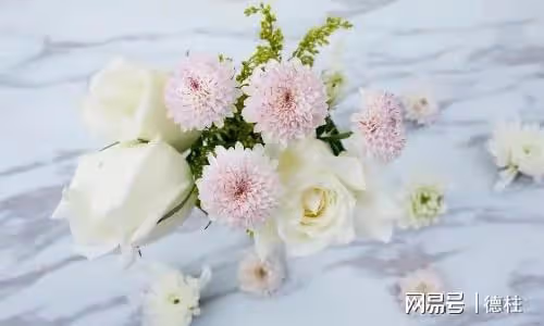 「媽來四個月了，兒媳沒給我做幾次飯」兒子：讓您在這養老不錯了