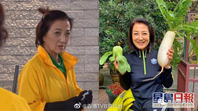 TVB老戲骨是低調富婆!身家半億最愛Hermès