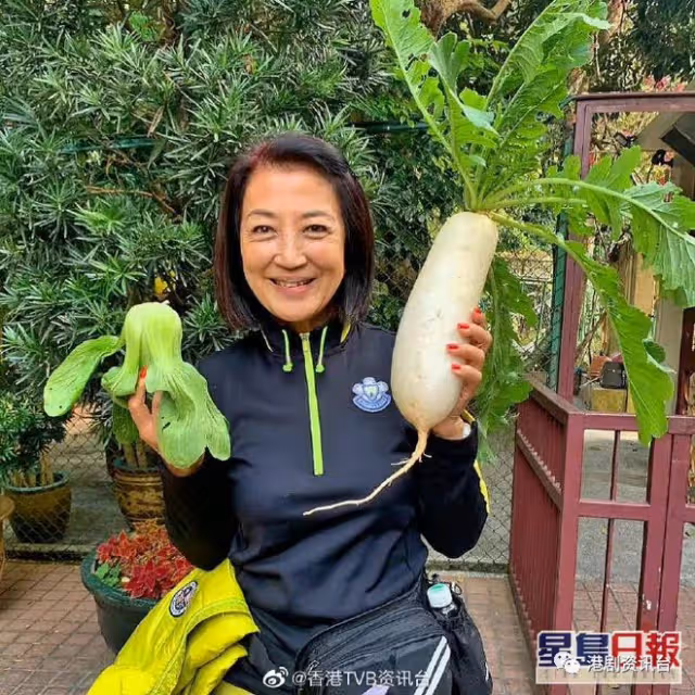 TVB老戲骨是低調富婆!身家半億最愛Hermès