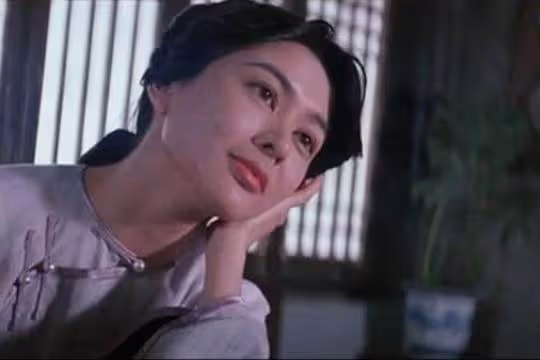女星的18歲！趙雅芝端莊大氣，張柏芝青澀稚嫩，蔡少芬驚為天人