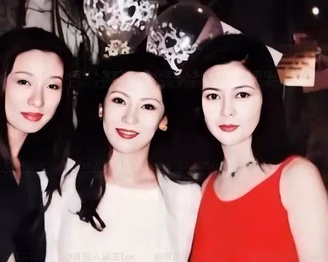 驚艷了時光的美人——向太陳嵐,年輕時候的顏值能夠高位出道嗎?