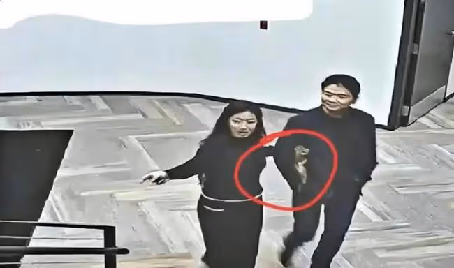 起底劉強東案背後女主角劉婧堯 父母身家千萬