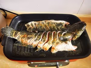 烤魚——只用摩飛鍋就夠了
