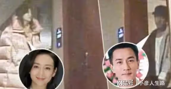 《縱橫芯海》演員陣容，40歲的王鷗顏值在線