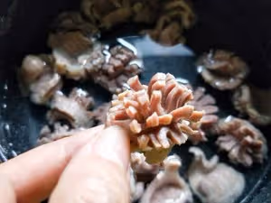 ㊙️又香又辣又酸爽‼️酸辣雞胗花‼️超級下飯
