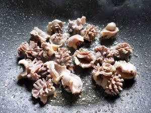 ㊙️又香又辣又酸爽‼️酸辣雞胗花‼️超級下飯