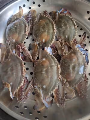 最簡單的清蒸梭子蟹