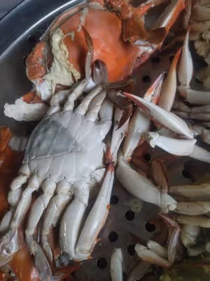 最簡單的清蒸梭子蟹