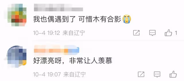 楊穎現身大孤山被偶遇,素顏出鏡打扮低調,疑似前去寺廟求姻緣