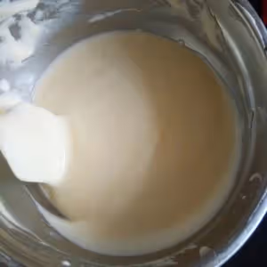 輕乳酪蛋糕（一個橢圓模的量）