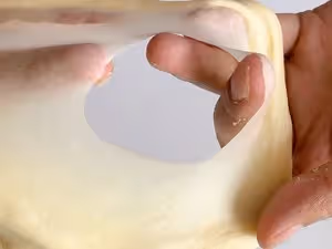 桂花乳酪日式麵包｜秋日食譜｜柔軟｜醇香