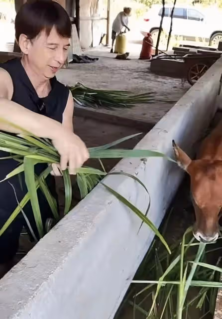 60歲港圈戲骨長居湖南！不戴口罩在農村菜場趕集，打扮樸素無人識