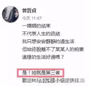 同樣是林瑞陽的基因，張庭的孩子跟曾哲貞的孩子，差別怎麼那麼大