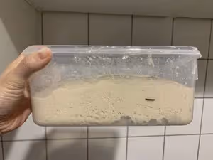 免揉超簡單的大氣孔歐包