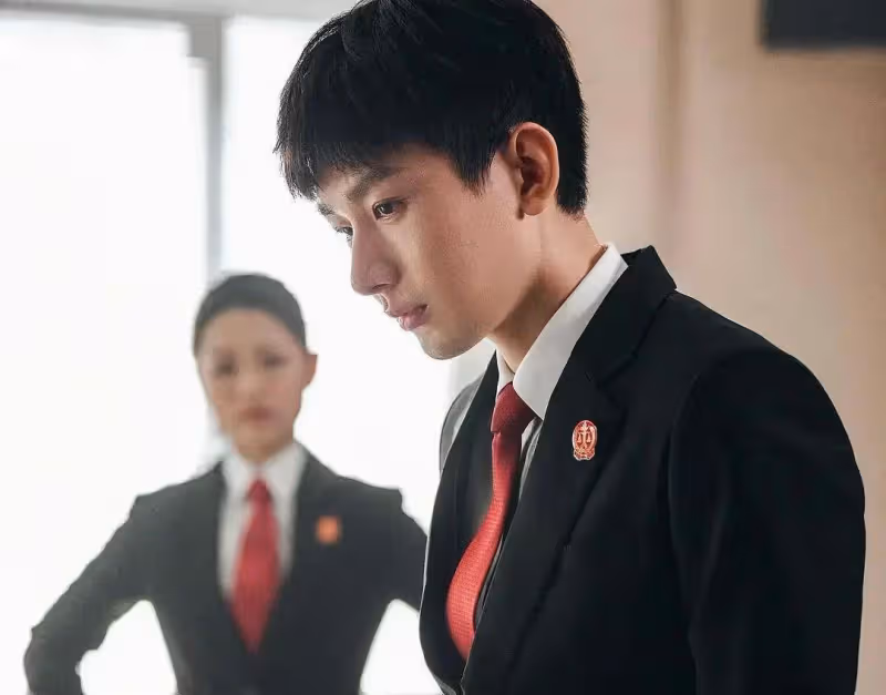 靳東、程毅、蔡文婧主演的法式熱播劇《《底線》》值不值得看?