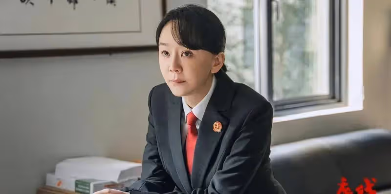 靳東、程毅、蔡文婧主演的法式熱播劇《《底線》》值不值得看?