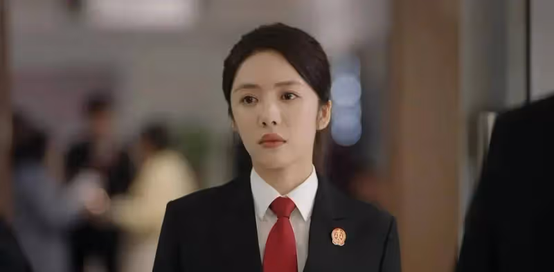 靳東、程毅、蔡文婧主演的法式熱播劇《《底線》》值不值得看?