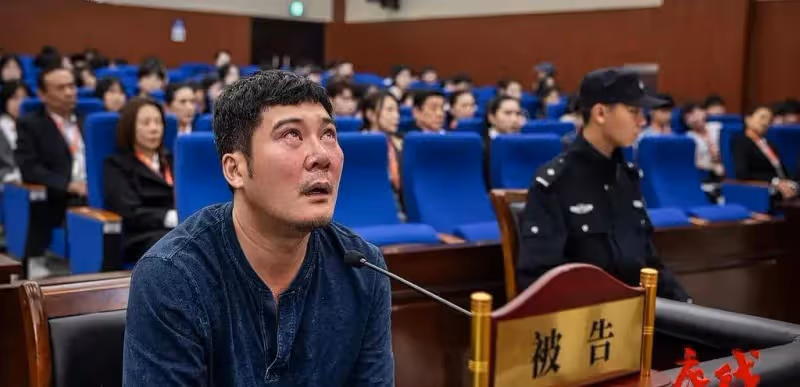 靳東、程毅、蔡文婧主演的法式熱播劇《《底線》》值不值得看?