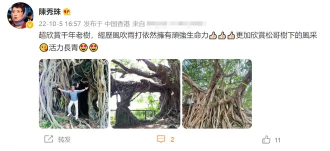 劉松仁摔傷後罕見出遊!不用拄拐杖精神好,站上千年古樹興奮拍照