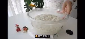 免揉全麥鄉村麵包，無油無糖