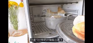 免揉全麥鄉村麵包，無油無糖