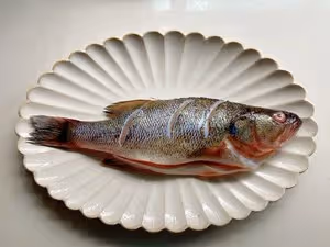 清蒸鱸魚【快手又美味】