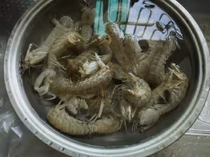 椒鹽皮皮蝦