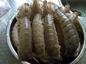 椒鹽皮皮蝦