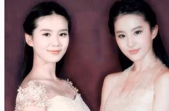 娛樂圈「撞臉」的6對明星,容貌相似越看越像,星途卻大不相同