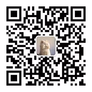 櫻桃小丸子的奶奶拿手魔法美食--卡美羅(蜂巢糖)