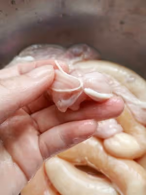 雞蛋腸