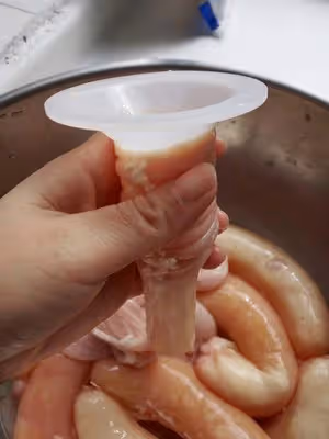 雞蛋腸