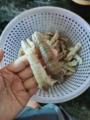 椒鹽蝦姑（皮皮蝦）