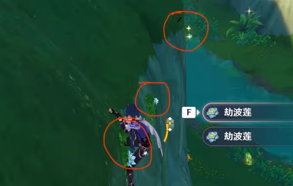 《原神》劫波蓮高效採集路線分享
