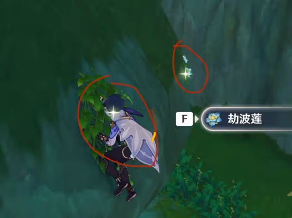 《原神》劫波蓮高效採集路線分享
