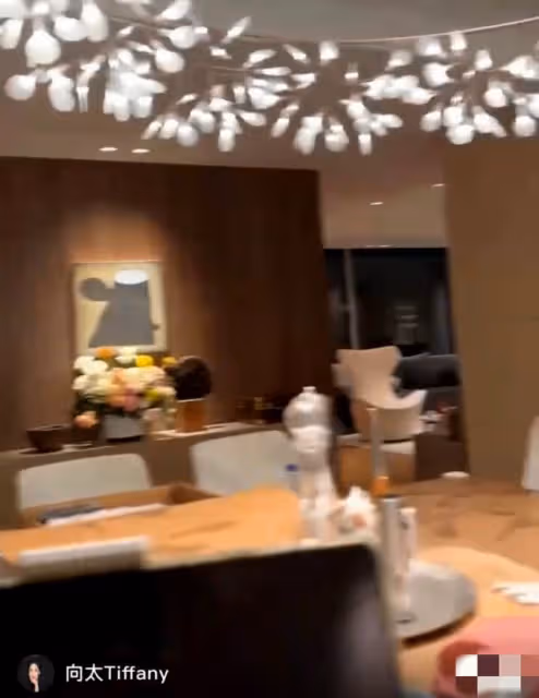 向太贈郭碧婷上億豪宅內景曝光,坐私人飛機回內地,行李箱超兩萬