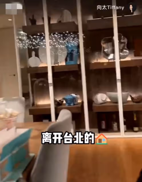 向太贈郭碧婷上億豪宅內景曝光,坐私人飛機回內地,行李箱超兩萬