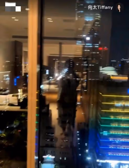 向太贈郭碧婷上億豪宅內景曝光,坐私人飛機回內地,行李箱超兩萬