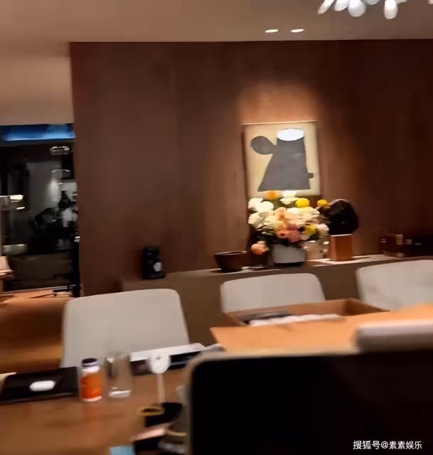 向太首次曝光私人飛機，台北豪宅內擺滿古董，奢華家具很有檔次